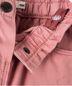 53SANCO rose